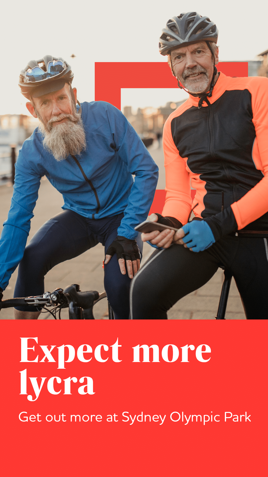 luna park banner image