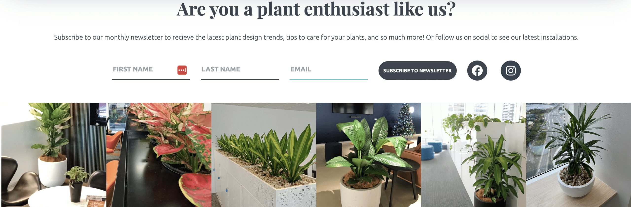 The Plant Man lead form example